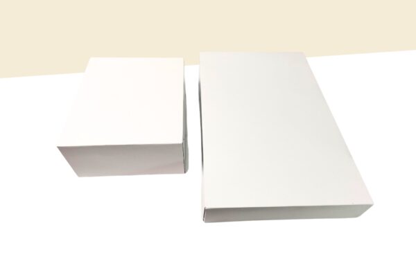 6_20240602_195532_0005